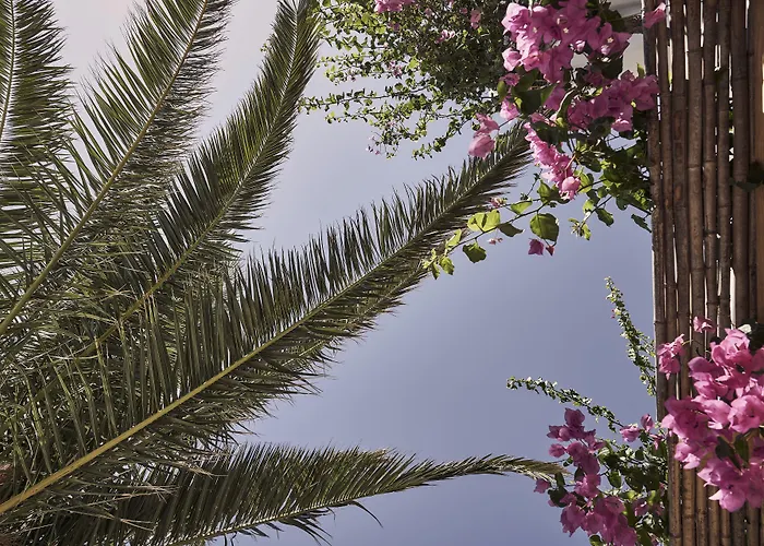 Dionysos Beach Resort & Villas
